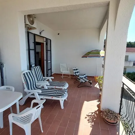 Corallo Blu Sul Mare Riaci Capo