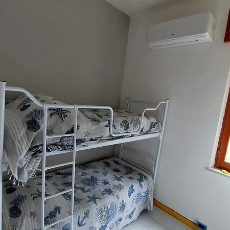 Corallo Blu Sul Mare Riaci Capo