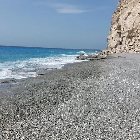 Corallo Blu Sul Mare *