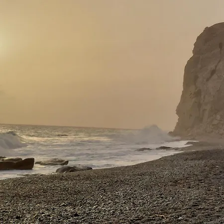 Corallo Blu Sul Mare Riaci Capo