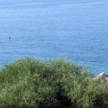 Corallo Blu Sul Mare * Riaci Capo