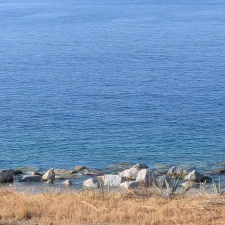 Corallo Blu Sul Mare