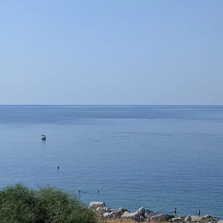 Corallo Blu Sul Mare *