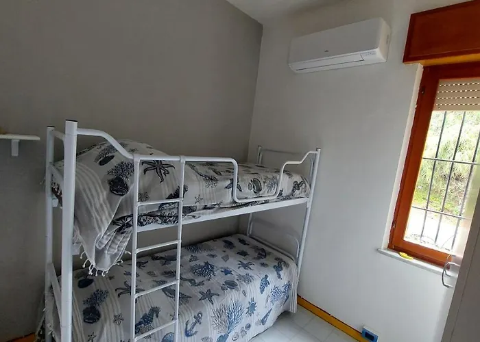 Corallo Blu Sul Mare Riaci Capo